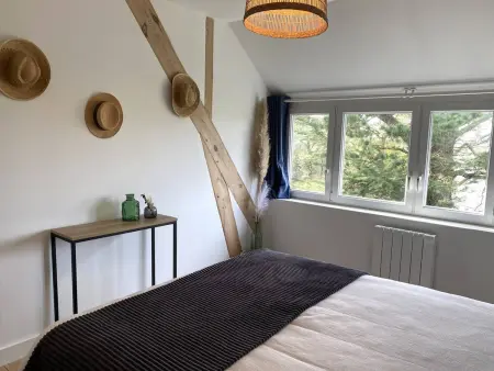 Maison à 250m de la plage avec WIFI à Trégastel - Photo 22