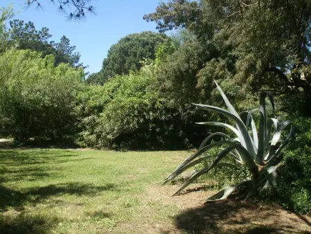 Les Romarins, Belle maison très bien placé pres de la plage - Photo 21