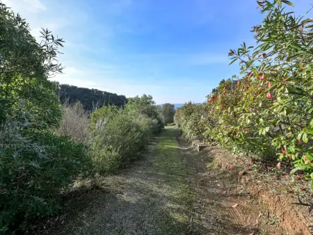Augusta, Villa 7 personnes à Scarlino - Photo 43