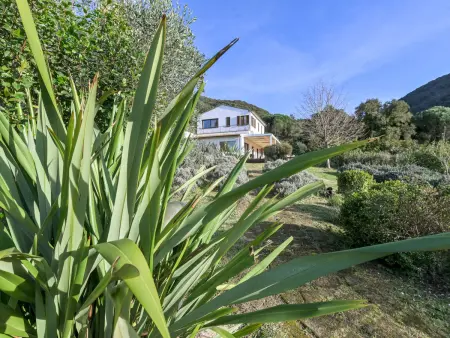 Augusta, Villa 7 personnes à Scarlino - Photo 44