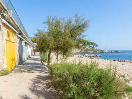 Appartement 4 pers avec balcon, lave-vaisselle, proche plage, Calella de Palafrugell - Photo 16