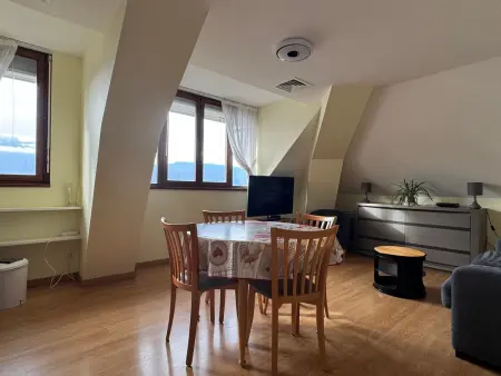 Appartement au dernier étage avec parking et climatisation à Aix-les-Bains! - Photo 6