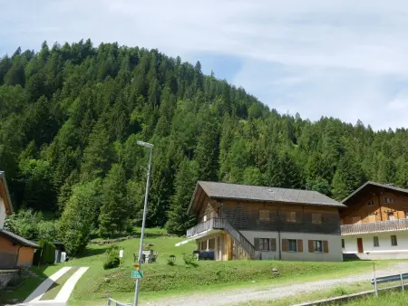 Prou Forestside, Appartement 4 personnes à Campo Blenio - Photo 21