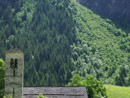 Prou Forestside, Appartement 4 personnes à Campo Blenio - Photo 23