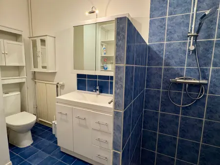 T1 lumineux, centre-ville avec WiFi et parking, Appartement 2 personnes à Aix les Bains - Photo 3