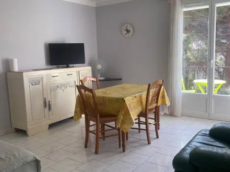 F2 ensoleillé près des thermes, animaux admis, Appartement 3 personnes à Amélie les Bains Palalda - Photo 6