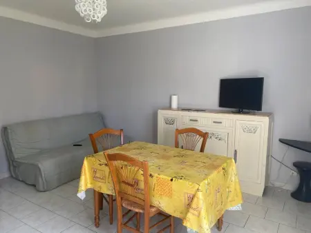 F2 ensoleillé près des thermes, animaux admis, Appartement 3 personnes à Amélie les Bains Palalda - Photo 7