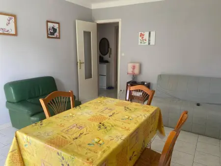 F2 ensoleillé près des thermes, animaux admis, Appartement 3 personnes à Amélie les Bains Palalda - Photo 10