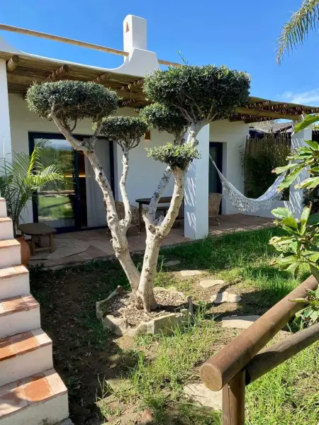 Appartement confortable à Tarifa, 45 m², vue jardin - Photo 1