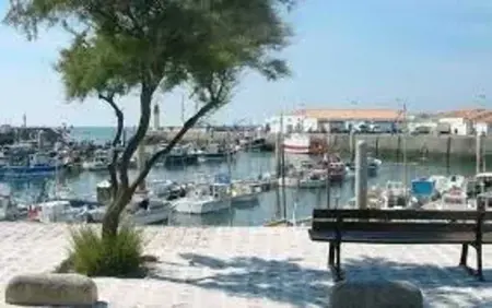 Maison familiale à Saint-Pierre-d'Oléron avec jardin - Photo 9