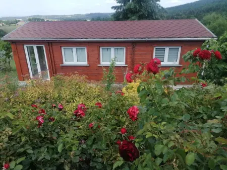 Chalet accueillant à Égliseneuve-des-Liards avec jardin - Photo 1