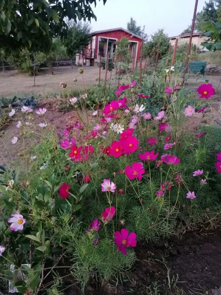 Chalet accueillant à Égliseneuve-des-Liards avec jardin - Photo 27