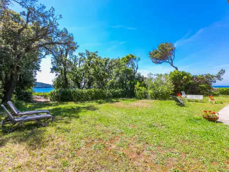 Pino, Gite 4 personnes à Castiglioncello - Photo 23