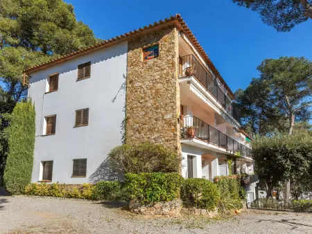 Appartement lumineux à Tamariu, plages à 600m, terrasse - Photo 4