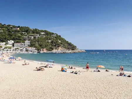 Maison avec jardin privé et parking à 600m de la plage - Llafranc, Costa Brava - Photo 15