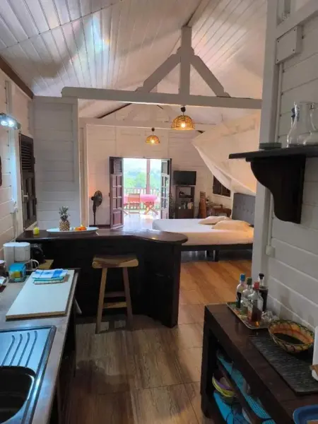 Studio moderne avec terrasse à Le Robert 60 m² - Photo 4