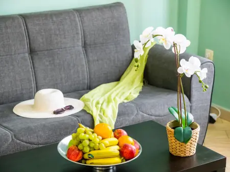 Appartement moderne 2 chambres proche plages, wifi gratuit - Photo 20
