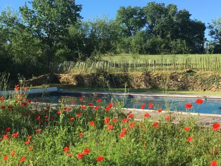 Maison en pierre avec jardin et piscine privée, proche Trémolat - Photo 3