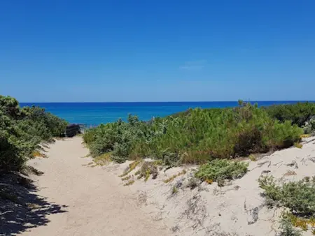 Camping Baia Paradiso, Maison 5 personnes à Badesi - Photo 4