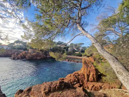 Appartement 3 pièces à 200m des plages, St-Raphaël - Photo 21