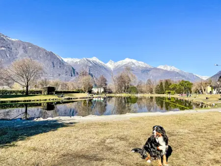 Lucia, Appartement 3 personnes à Lago di Mezzola - Photo 17