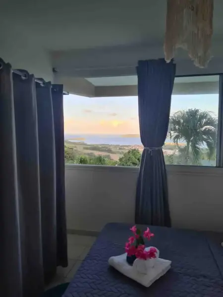 Appartement confortable avec vue sur mer à Le Robert - Photo 14
