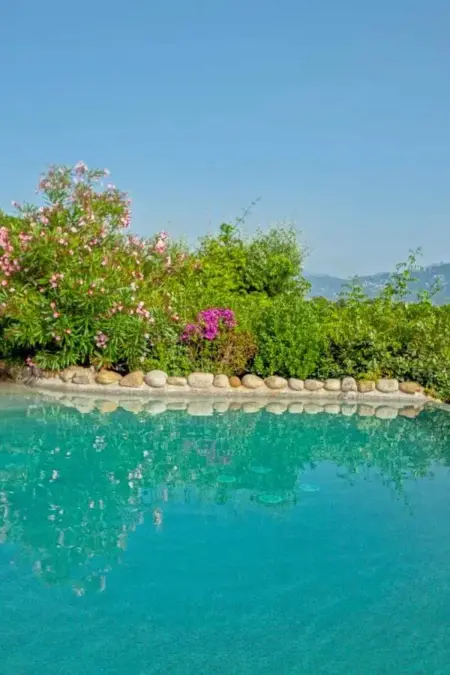 Charmante maison à Olmeto avec piscine partagée - Photo 12