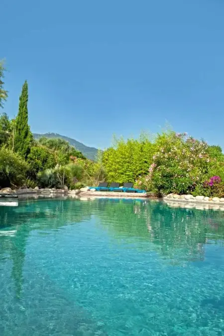 Charmante maison à Olmeto avec piscine partagée - Photo 13