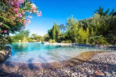 Charmante maison à Olmeto avec piscine partagée - Photo 28