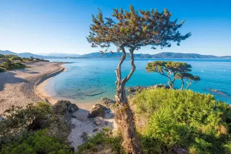 Charmante Maison de Vacances à Olmeto avec Piscine - Photo 26