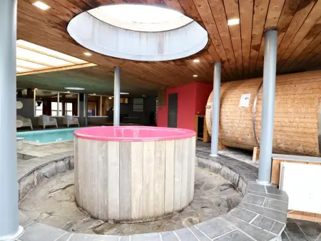 Halinsart, Maison tout inclus avec piscine, hottub et sauna - Photo 37