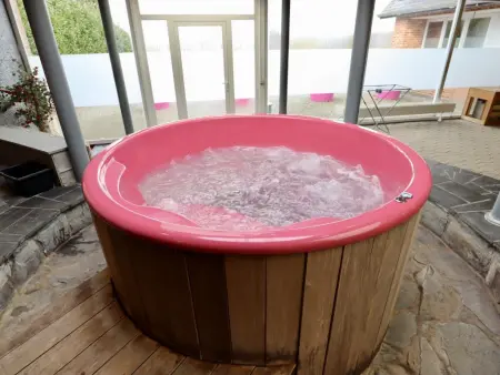 Halinsart, Maison tout inclus avec piscine, hottub et sauna - Photo 38