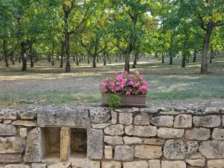 Maison de Charme avec Jardin à Jayac, Gite 7 personnes à Jayac - Photo 20
