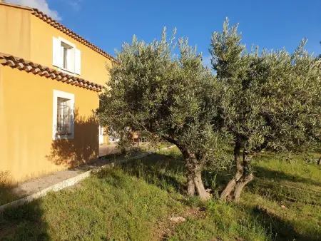 Superbe villa entourée d'oliviers proche du village d'Aups - Photo 9