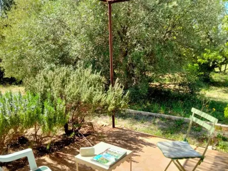 Superbe villa entourée d'oliviers proche du village d'Aups - Photo 13