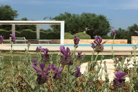 Trullo Amato Cisternino, Trullo en Apulie avec Piscine Privée - Photo 24