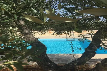 Trullo Amato Cisternino, Trullo en Apulie avec Piscine Privée - Photo 27