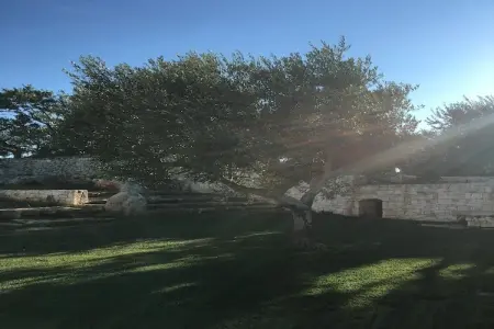 Trullo Amato Cisternino, Trullo en Apulie avec Piscine Privée - Photo 38