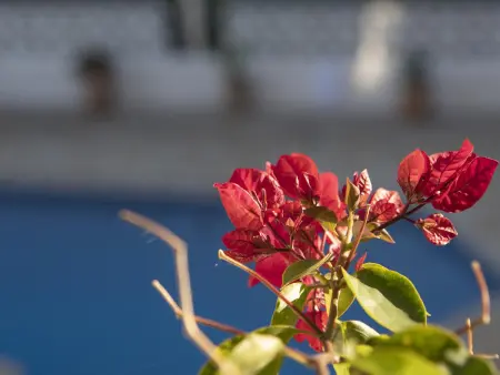 Villa classique avec piscine privée, jardin et climatisation à Benissa - Photo 6