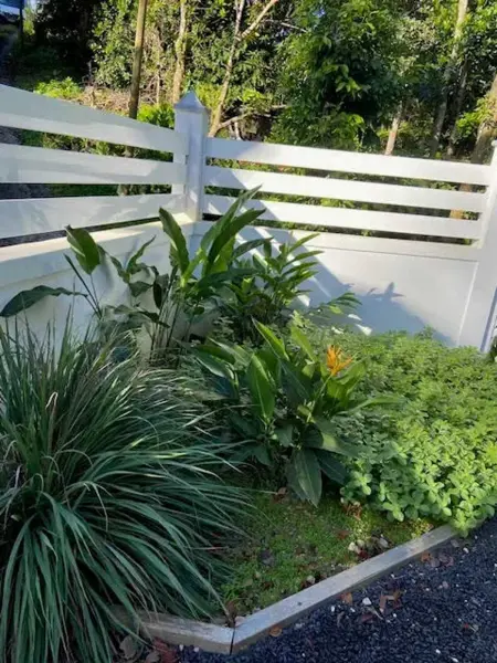 Maison confortable à Morne-à-l'Eau, 60 m² avec jardin - Photo 9