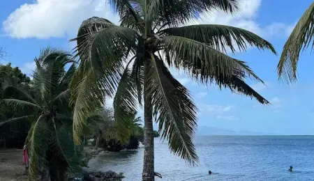 Maison confortable à Morne-à-l'Eau, 60 m² avec jardin - Photo 13
