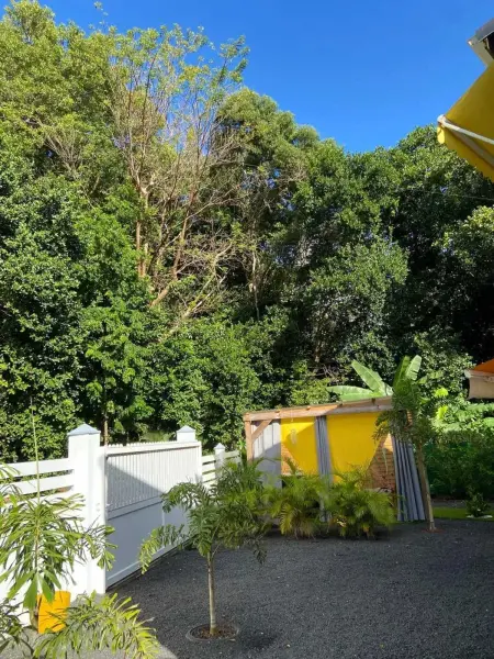 Maison confortable à Morne-à-l'Eau, 60 m² avec jardin - Photo 16