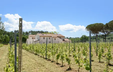 Maison 12 personnes à Massa e Cozzile - Photo 8