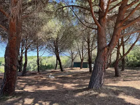 Studio à Saint-Florent avec balcon et climatisation - Photo 18