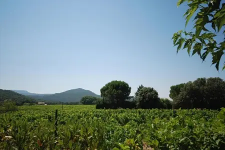 Alana, Maison à Vaison La Romaine avec Piscine Chauffée - Photo 26
