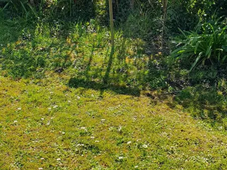 Appartement 1er étage avec jardin et parking à Le Palais - Photo 13