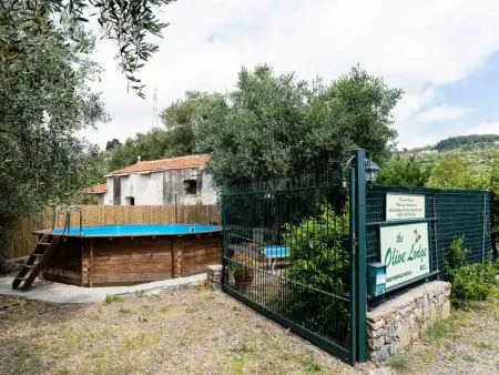 Olive Lodge, Maison 10 personnes à Civezza - Photo 4