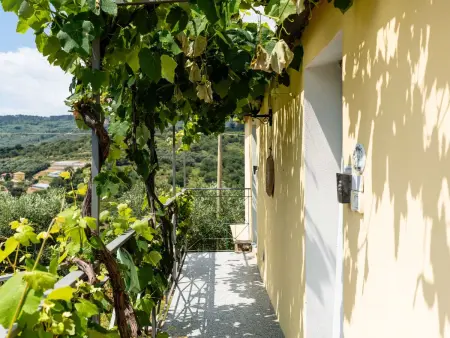 Olive Lodge, Maison 10 personnes à Civezza - Photo 30