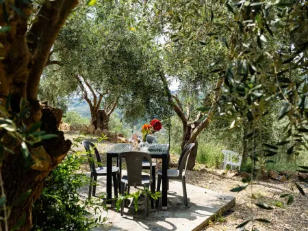 Olive Lodge, Maison 10 personnes à Civezza - Photo 34