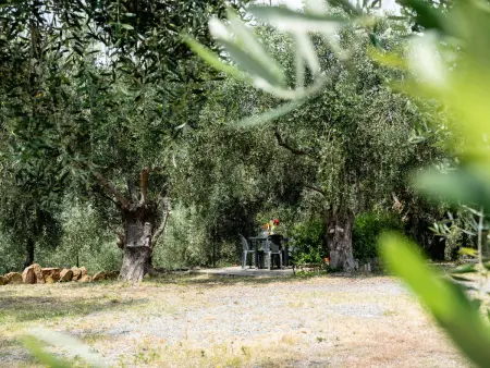 Olive Lodge, Maison 10 personnes à Civezza - Photo 36
